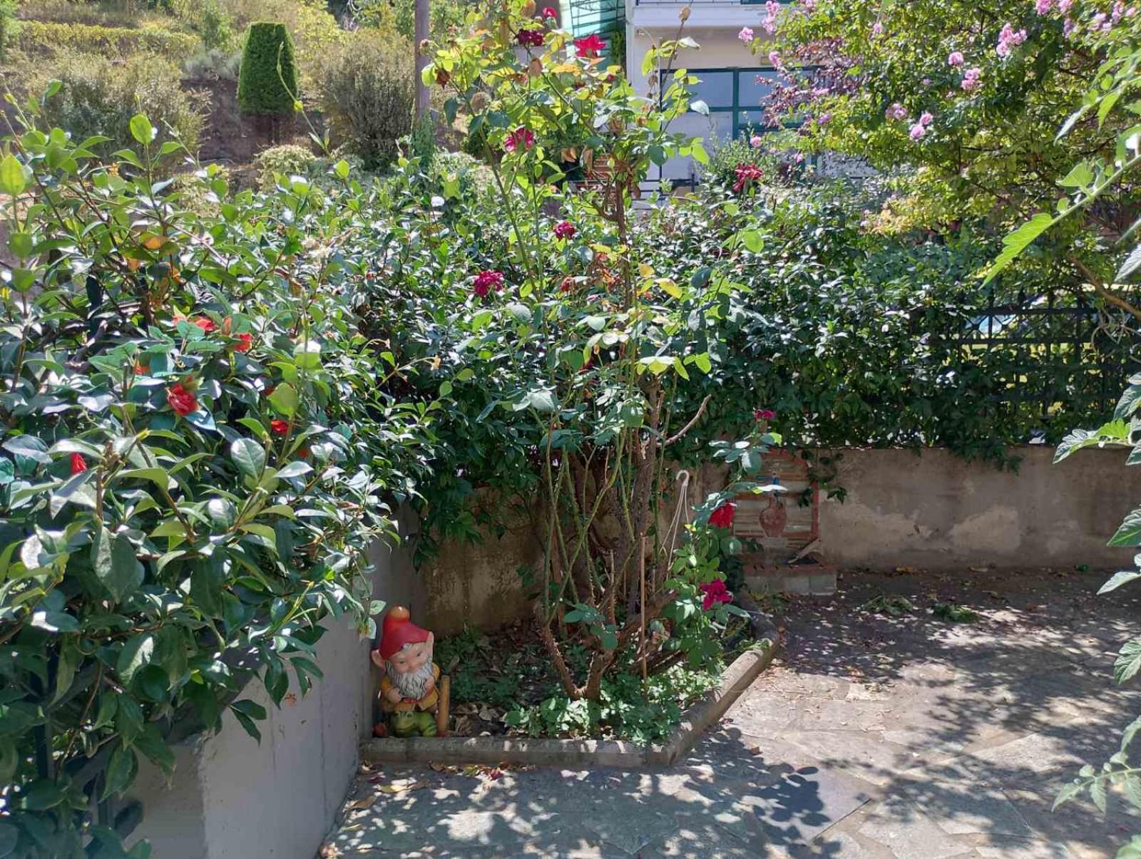 Stone House - Bike Friendly Home 埃泽萨 外观 照片